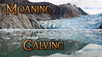 Glaciers moaning and calving